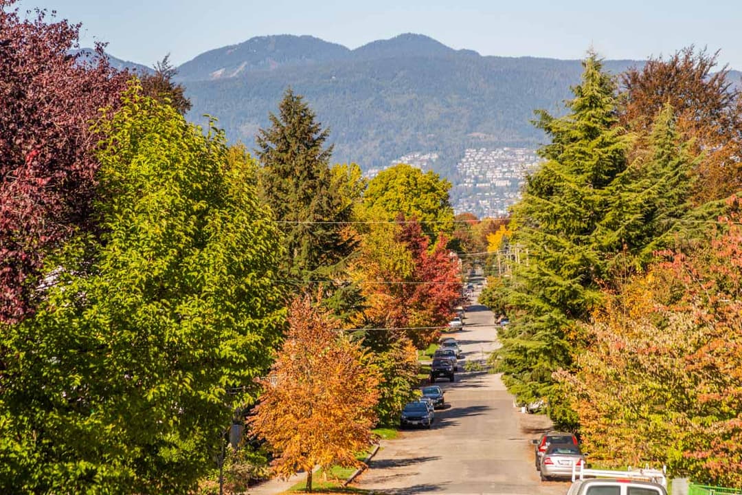 June 2025 Metro Vancouver Real Estate: Is the Market Finally Finding Its Footing? post image